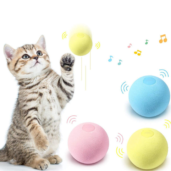 SmartBall™ Balle intelligente d'apprentissage pour chat | Chat